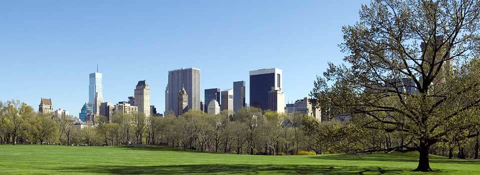 NYC skyline from Central Park